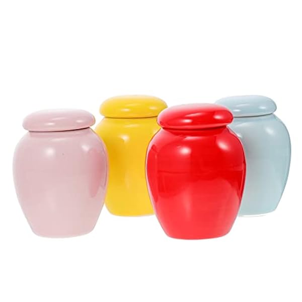 PATKAW 5 Stuks Urn Opslag Potten Met Deksels Huisdier Ornament Container Menselijk Container Met Deksel Kat Herdenkingskist Hond Asbak Dier Astank Keramiek Miniatuur Moeder Papegaai