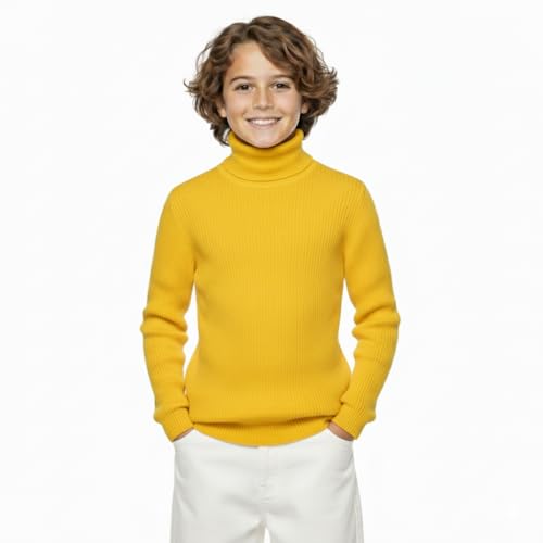 Image of high Neck Sweater for Boys