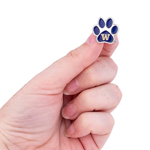 Image of Desert Cactus University of Washington Lapel Pin UW Huskies Made of Metal for Formal Wear, Bag and Hat Jewelry, and Tie Tack