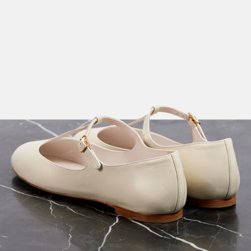 Milooey shoes Round Toe Flat Mary Janes Shoes Chunky Low Heels T-Strap Buckled Comfort Causl Pump Shoes Size 4-16 US2