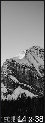 Frame It Easy 14 1/2 x 38 1/2 Satin Black Metal Frame (Ashford) 14.5x38.5 inches