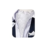 DiBanGu White Ascot Ties for Men Paisley Cravat for Men 100% Silk Woven Mens Cravat Tie and Pocket S