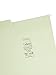 Smead Erasable FasTab Hanging File Folder, 1/3-Cut Built-in Tab, Letter Size, Moss, 20 per Box (64032)