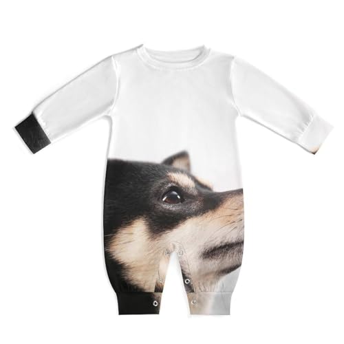 [NBKING] Č   Aj xr[ p[X  Jo[I[ V j̎q ̎q  킢 Ԃ oYj v[g 0-24