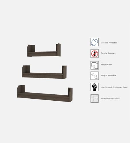 Image of REMI Multipurpose Modular Wall Racks /Shelves /Organiser /Decor Particle Board Wall Shelf (Number of Shelves - 3, Brown)