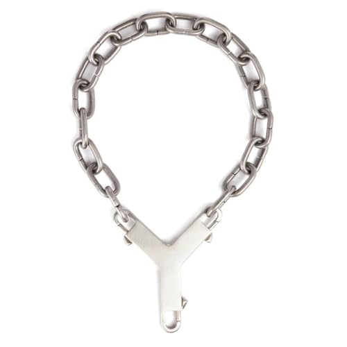 Collier en acier Ti unisexe avec fermoir 17 et chaîne unique