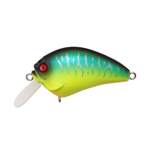 Amazon.co.jp: Megabass(メガバス): クランクベイト