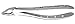 Pomee USA 706-327 Extracting Forcep, Upper Universal
