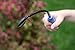 CobraHead® Mini Weeder & Cultivator Garden Hand Tool - Forged Steel Blade - Recycled Plastic Handle - Ergonomically Designed for Digging, Edging & Planting - Perfect for Small Gardening Jobs
