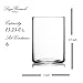 Luigi Bormioli Top Class 15.25 oz All Purpose Glasses - Set of 6 Durable Lead-Free Crystal Drinkware with Reinforced Rims & Minimalist Design - Elegant Glassware for Home or Bar Use