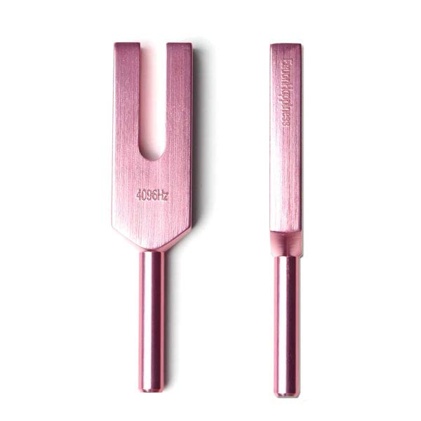 Amazon.co.jp: 音叉 チューナー 4096 Hz おんさ ラバーマレット 商品