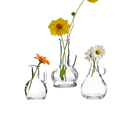 EylKoi Knospe Vasen in Loser Schüttung mit Griff, Vermehrungsgläser Vase Weinflaschenform, Mini Vasen Griff Kleine Vasen für Blumen Kleine Mundvasen für Dekoration, Heimtisch, Esszimmer, Hochzeit Cover