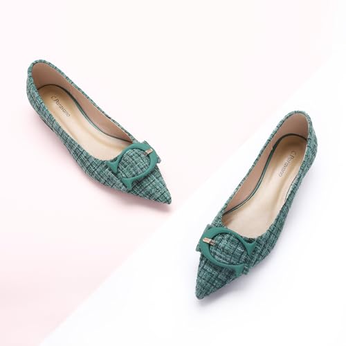 C.Paravano Women's Flats - Pointed Toe Dressy Shoes Ballet Flats Comfortable Slip on Shoes for Women Work,Daily(Size 6.5,Green Multi)2