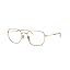 Matte Havana/Polarized Green Gradient Blue