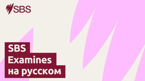 &lsquo;Everyone wants to matter&rsquo;: How we can prevent hate and division in our neighbourhoods - SBS Examines: &laquo;Каждому важно чувствовать свою значимость&raquo; &mdash; как предотвратить ненависть и раскол в обществе