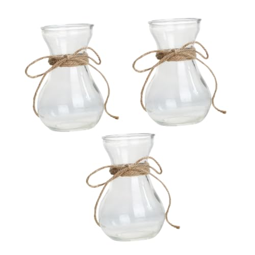 BESPORTBLE 3pièces Vase Verre Transparent pour Plantes Hydroponiques Récipients Décoratifs pour Fleurs DIY Et Décoration Intérieure