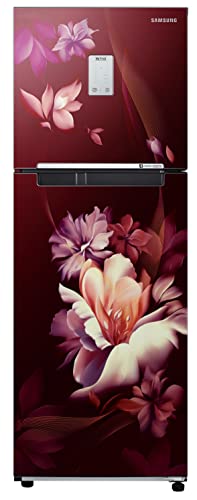 Image of Samsung 244L 2 Star Frost-Free Double Door Refrigerator Appliance (RT28B3522RZ /HL, Midnight Blossom Red, Curd Maestro, 2022 Model)