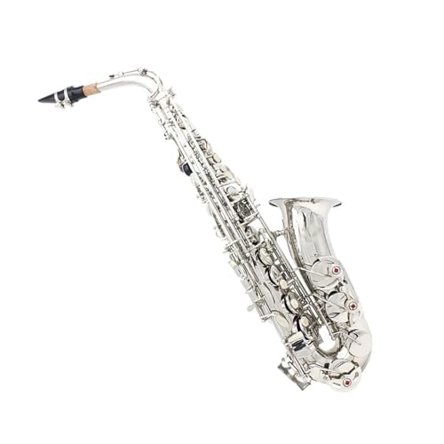 SҗpTbNX AgTbNXZbg E ؊Ǌy Vo[L[ E |[^uobO }EXs[XN[jOuVt