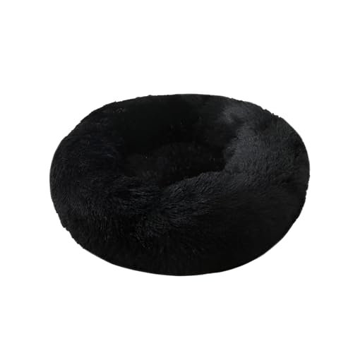 [Arklove]yی^ybgnEXz~ ѕzxbh Lp 3wfM\ \  S݌v уtf ybgxbh p ^ Lp