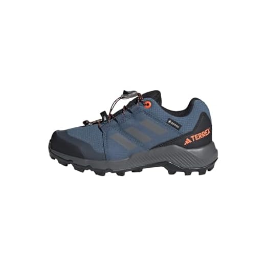 adidas Terrex Gore-Tex Hiking, Walking Shoe, Wonder Steel/Grey Three/Impact Orange, 38 EU