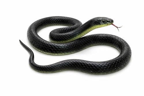 RZA 2026 (Snake Pack of 1 pcs) ZA Realistic Black Rubber Snake Toy - 28-inch Lifelike Garden Prop for Scaring Birds Black Skane Fake Snake Toy