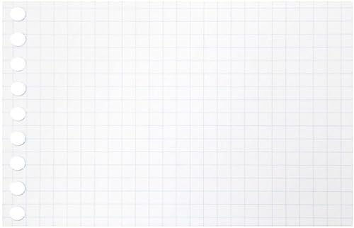 マルマンルーズリーフミニB7方眼5mm100枚・L1432