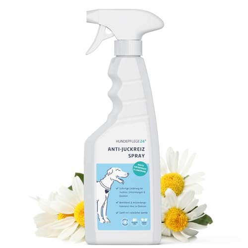 Hundepflege24 Anti Juckreiz Spray für Hunde 500ml - Akute Soforthilfe & wirksame Beruhigung bei Entzündung, Milben, Grasmilben, Pilzen, Flöhen - Haustierpflege Mittel gegen Juckreiz Hund