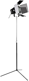 Premier Housewares E27 Edison Screw 40 W Chrome Spotlight Floor Lamp - Black