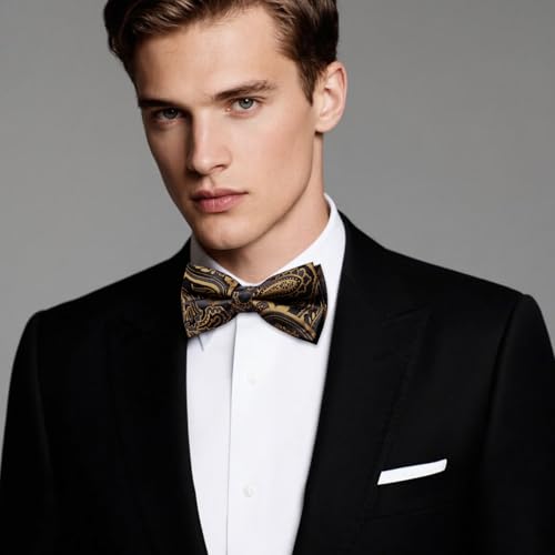 Dubulle Mens Paisley Striped Bowtie Set Pre-tied Bowtie for Men and Pocket Square Set Wedding Business