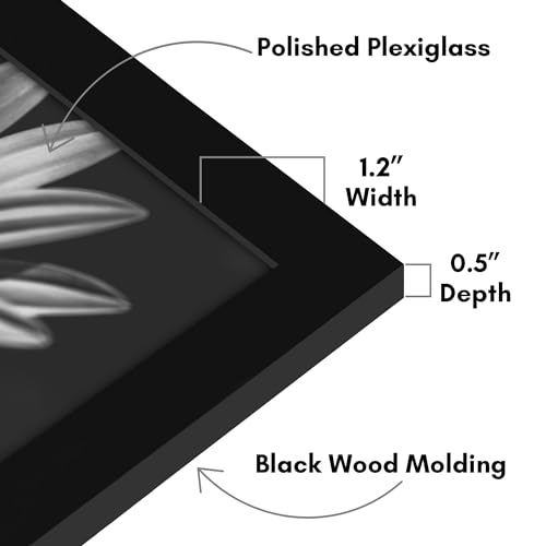 Americanflat 19x26 Picture Frame with Polished Plexiglass - Black Picture Frame - Wide Photo Frames Made of Engineered Wood for Vertical or Horizontal Wall Display - Epic Collection - Black