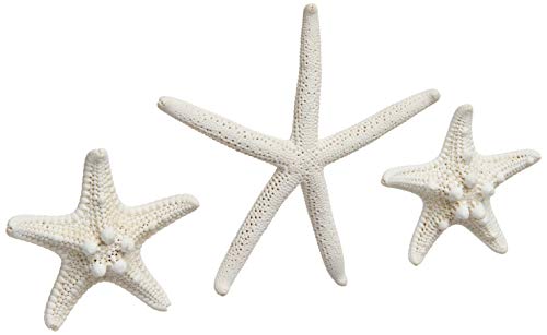 Wooden Beach & Home Word Signs with Trio of Loose Starfish - Tropical Beach Home Decor - Image 5