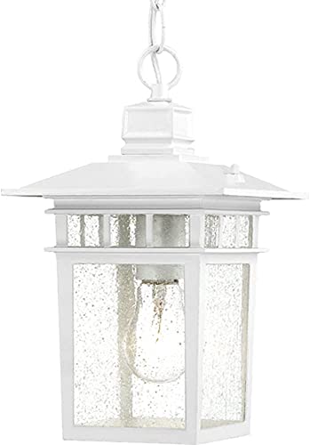 Image of Nuvo Lighting 60 /4954 Traditional One Light Hanging Lantern from Cove Neck collection in White finish