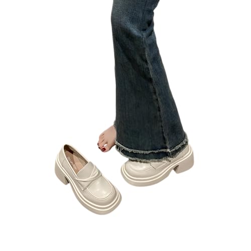 [AOKOWN] 2025V [t@[  gAbv8cm fB[X[t@[ ʋC ~ ₷ rʂ ɂ w@ ʋ ʊw wC Ǝ C^r