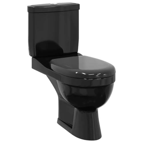 vidaXL Toilette con Cisterna Nera Gabinetto Bagno e Sciacquone Vaso WC Scarico