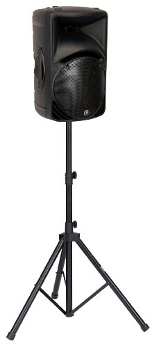 Mackie C Series, 12-Inch 2-Way Compact Passive Sr Loudspeaker (C300Z) #TOP7