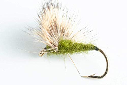 Blue Wing Olive Comparadun Dry Fly, 6 Pack (#18)