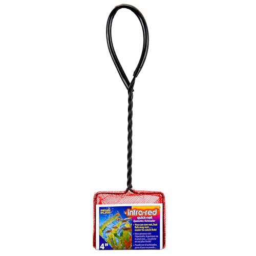 Image of Penn-Plax Infra-Red Quick-Net Aquarium Fish Net - 4 x 3 in Fine Mesh, 10 in Vinyl-Covered Braided Handle - Small Aquarium Cleaning Tool for Gentle Fish Handling - Freshwater & Saltwater Tanks - Red