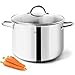 HOMICHEF Stock Pot 6 Quart Nickel Free Stainless Steel - 6 Qt Soup Pot With Lid and Handle - Small Cooking Pot 6 Quart - Ideal for Soup, Sauce, and Induction Cooking