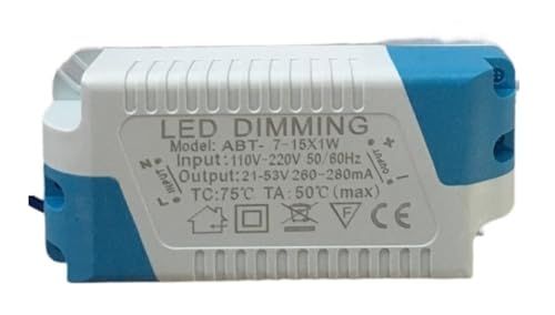 Alimentation courant constant 300mA LED driver AC 110V 240V pour spot