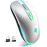HZD Wireless Mouse - 2.4G Ergonomic Optical LED Mouse with USB Receiver and Type C Adapter, 3 Adjustable DPI Levels 1600/1200/800 for Laptop/Tablet/Computer (Silver)