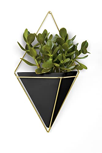 Umbra 470752-524 Umbra 470752 Trigg 8-3/4" X 4" Wall Display Ceramic Planter By Moe Takemura #TOP4