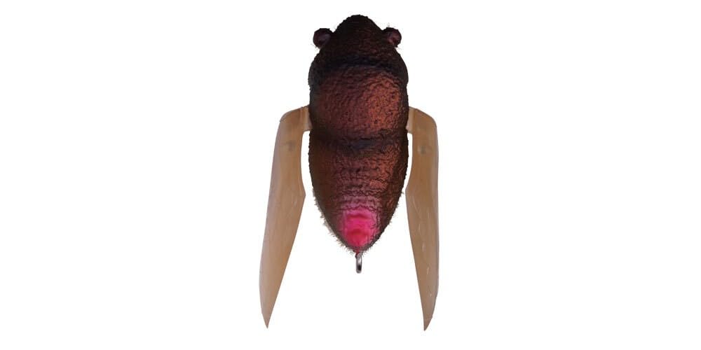 Amazon.co.jp: メガバス(Megabass) ルアー TINY SIGLETT