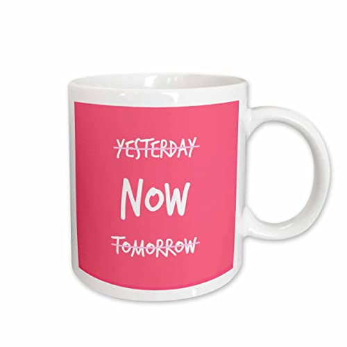 3dRose Image of Yesterday Now Tomorrow Quote 15oz Mug