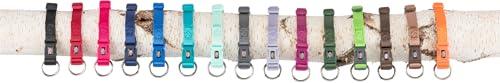 Laisse grand chien TRIXIE CityStyle pour stopper les tractions et sécuriser la promenade - 4