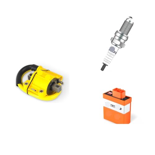 Bobine d'allumage CDI D9RIV pour cyclomoteur 50cc et moto