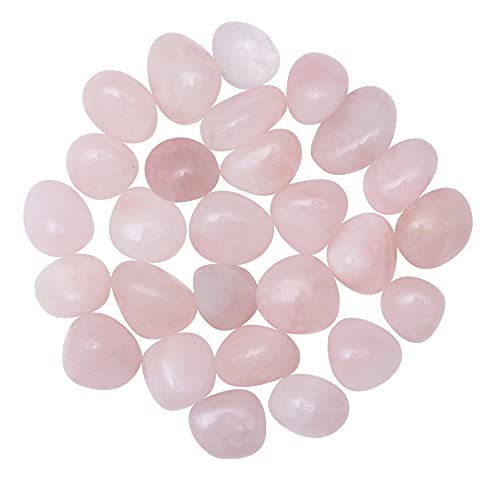 FASHIONZAADI Rosenquarz Trommelsteine | 1/2 Pfund | Polierte Kristallgläser | Reiki-Heilkristalle | Edelstein-Chakra-Ausgleich | Wohn- und Wohnzimmerdekoration | Spirituelles Geschenkset Cover