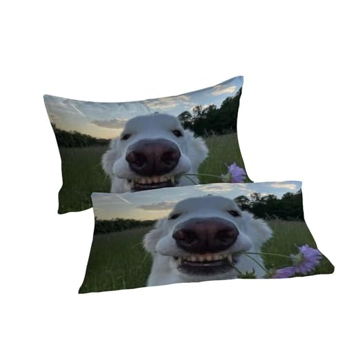 Housse de couette chiots 3D, le cadeau idéal pour lit double de garçon