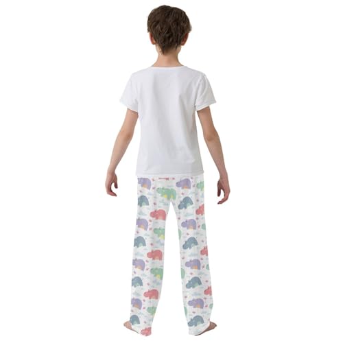 Hippo Butterfly Boys Long Pants Soft Trousers Elastic Waist Kids Lounge Bottoms with Pockets S-XL3