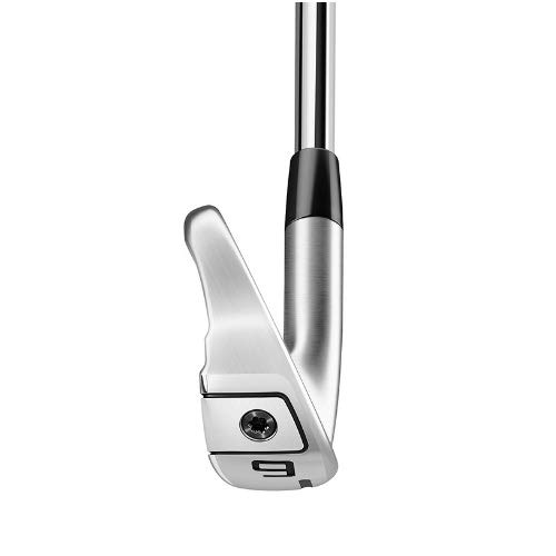 TaylorMade - 最終値下げ　P790 2019 6本 DG105 S300 Amazon.com : Build a Custom TaylorMade 2019 P790 Iron