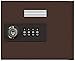 Salsbury Industries Replacement Door with Resettable Combination Lock for Cell Phone Locker, Standard A, Bronze